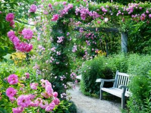 A path lined with Chilstone columns to create a lasting pergola to support climbing plants and roses, to create a blooming, living garden canopy.