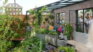 A cleverly terraced garden with rain saving roof and contained water feature created to make a livable garden that can adapt to flood and droughts.