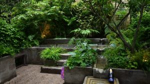 A courtyard garden with a mixture of retro landscaping with lush and contemporary planting.