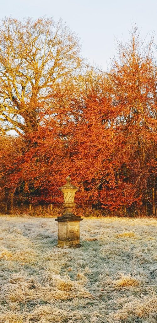 Gorgeous Autumn Gardens